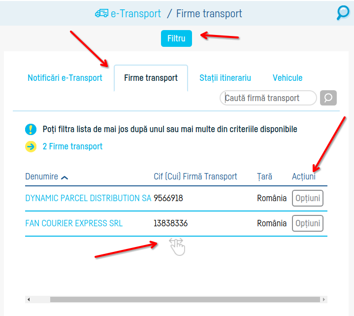 Cum transmiți notificarea e-Transport - pasul 16