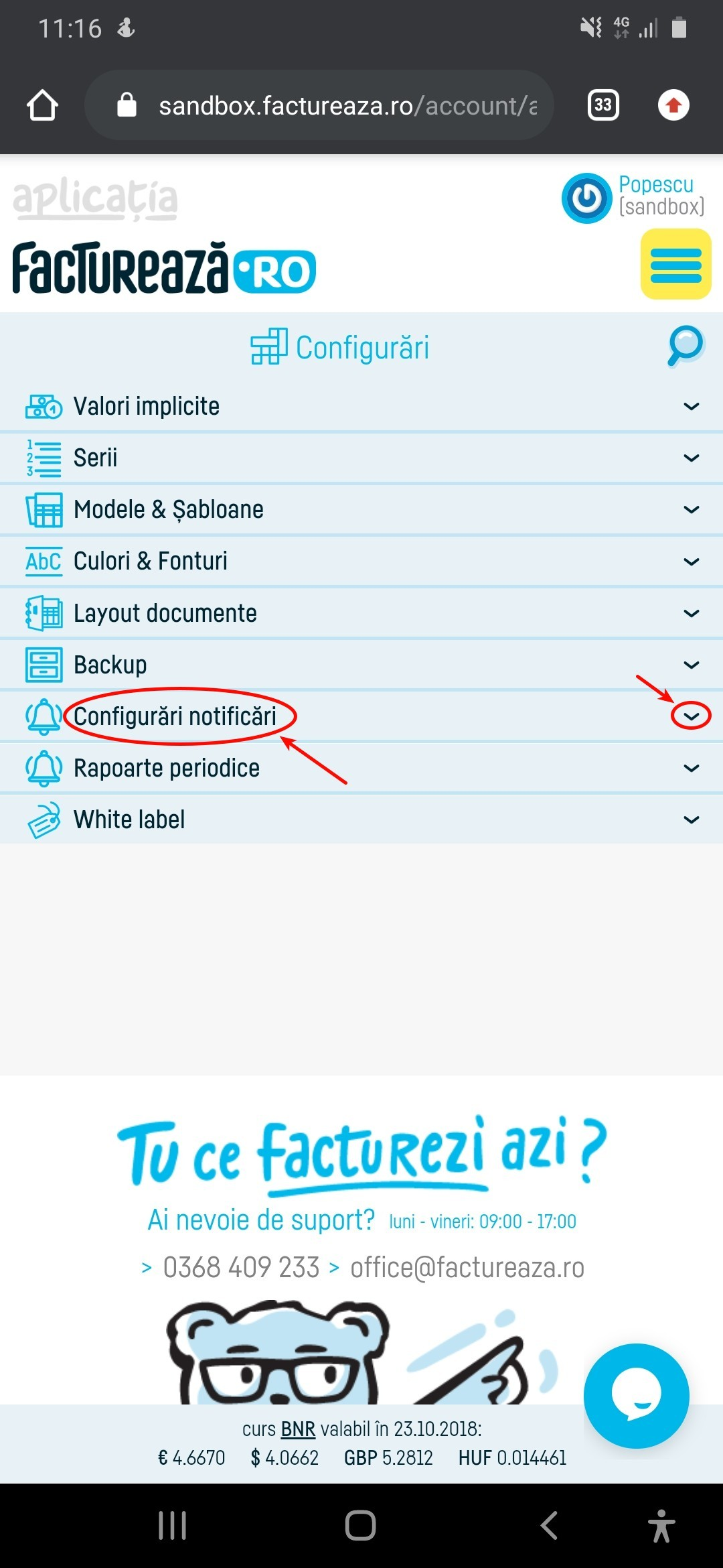 Cum se trimit facturile scadente prin e-mail? - pasul 2
